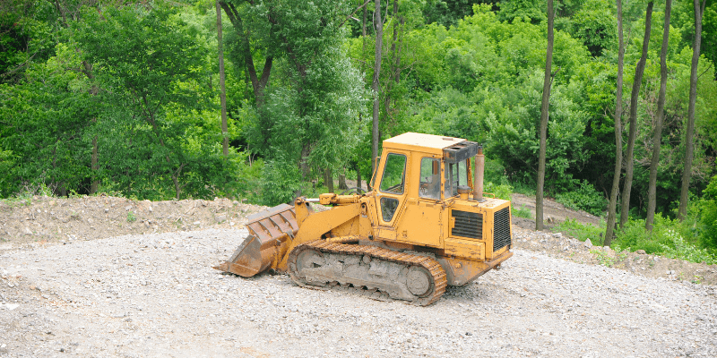 Tree Removal Mobile Alabama Local Brush Cleaning Services