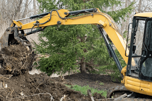 Tree Removal In Backyard Mobile Al