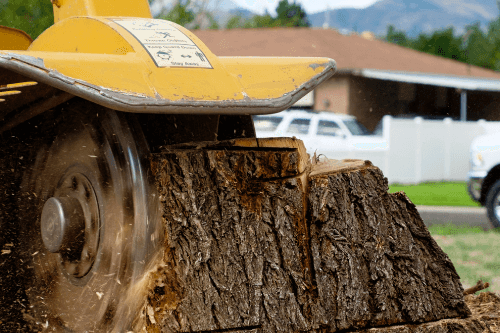 Tree Removal Mobile Alabama Local Stump Grinding Services